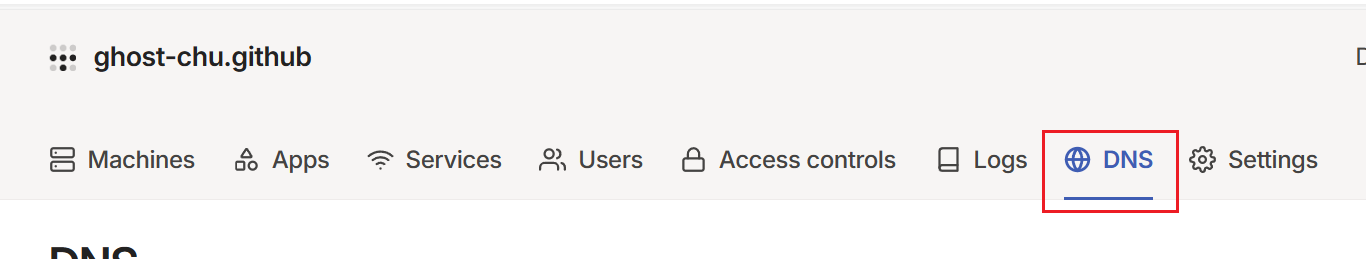 DNS 面板位置